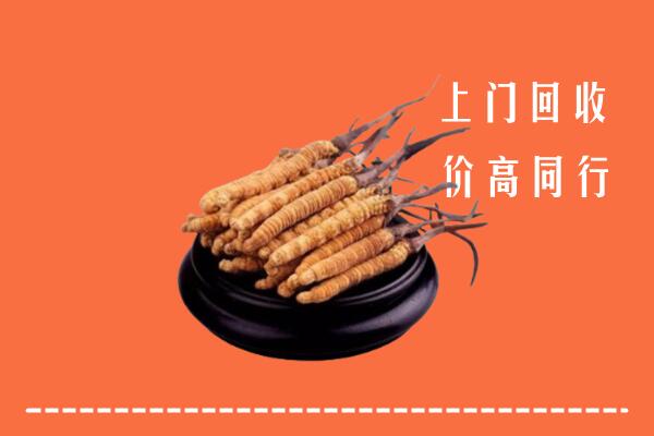 高价求购：达川区回收散虫草