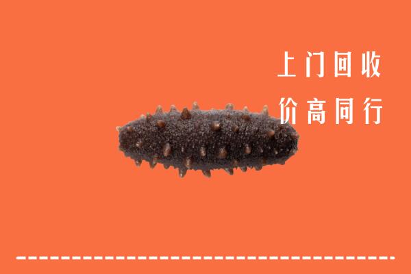达川区回收海参